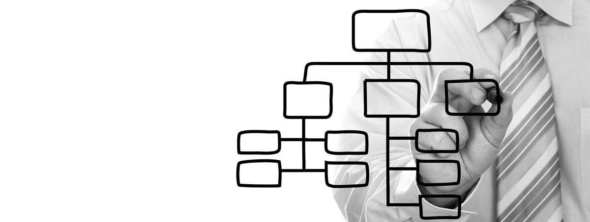 Optimal Organizational Structure • Business Consulting Services